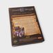 Sword & Sorcery: Ancient Chronicles &ndash; Sigrid/Sigurd Hero Pack 200229 фото 2
